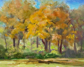 Fall Trees Painting, Oil Painting, Sunlit, Autumn Landscape, Midwest Trees, Yellow, Forest Preserve, Sunshine, Original Oil, 10x12 S Whitney