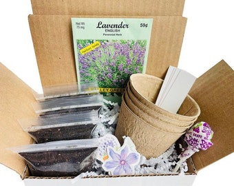 Lavender Grow Kit | Grow Your Own Lavender | Lavender Gift | Aromatherapy Gift |  Birthday Gift | Housewarming Gift | Hostess Gift