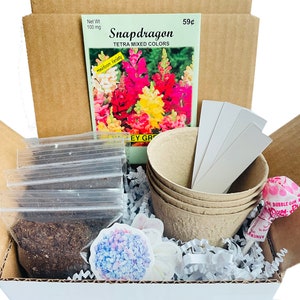 Snapdragon Grow Kit | Grow Your Own Snapdragons | Snapdragon Seeds | Snapdragon Gift | Snapdragon Garden | Birthday Gift | Housewarming Gift