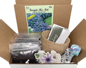 Forget Me Not Grow Kit | Grow Your Own Forget Me Nots | Forget Me Not Gift | Flower Seed | Birthday Gift | Housewarming Gift | Hostess Gift