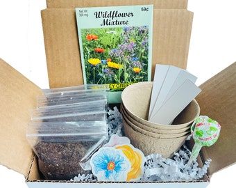 Wildflower Grow Kit | Grow Your Own Wildflowers | Wildflower Gift Box | Wildflower Gift | Birthday Gift | Housewarming Gift | Hostess Gift