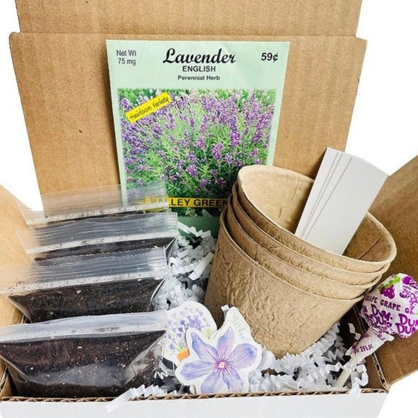 Lavender Grow Kit | Grow Your Own Lavender | Lavender Gift | Aromatherapy Gift |  Birthday Gift | Housewarming Gift | Hostess Gift