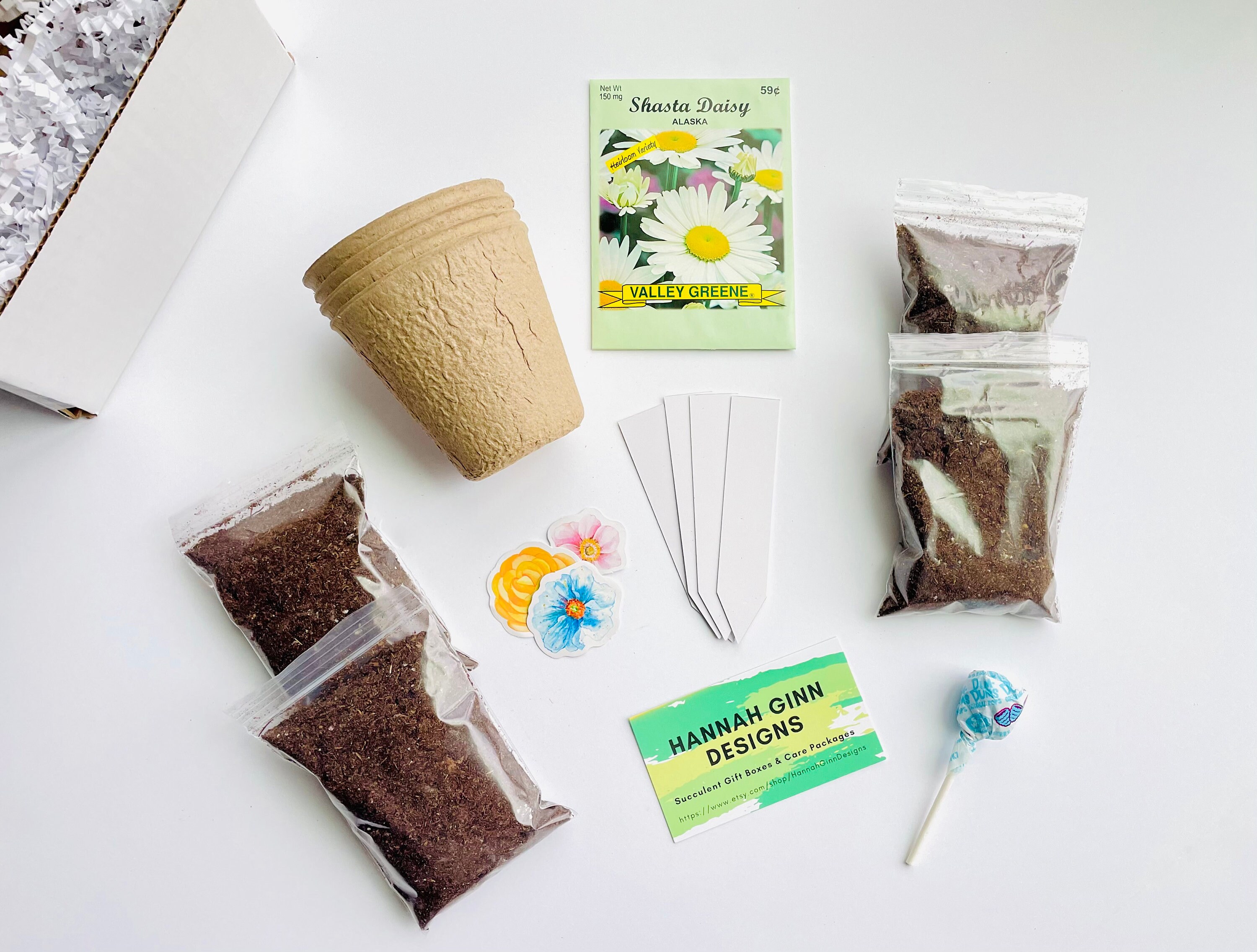 Daisy Grow Kit Grow Your Own Daisies DIY Daisy Seed Kit Etsy