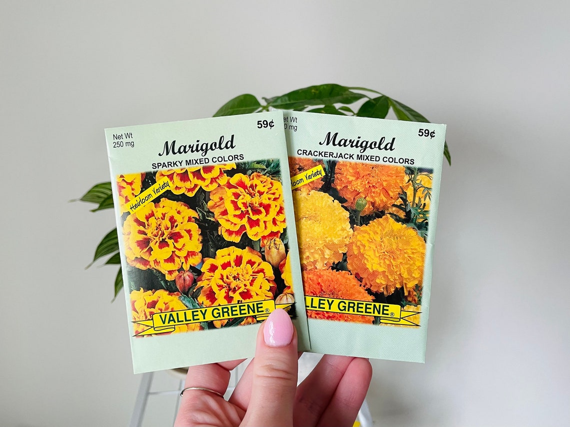 Marigold Grow Kit Grow Your Own Marigolds Marigold Gift Etsy