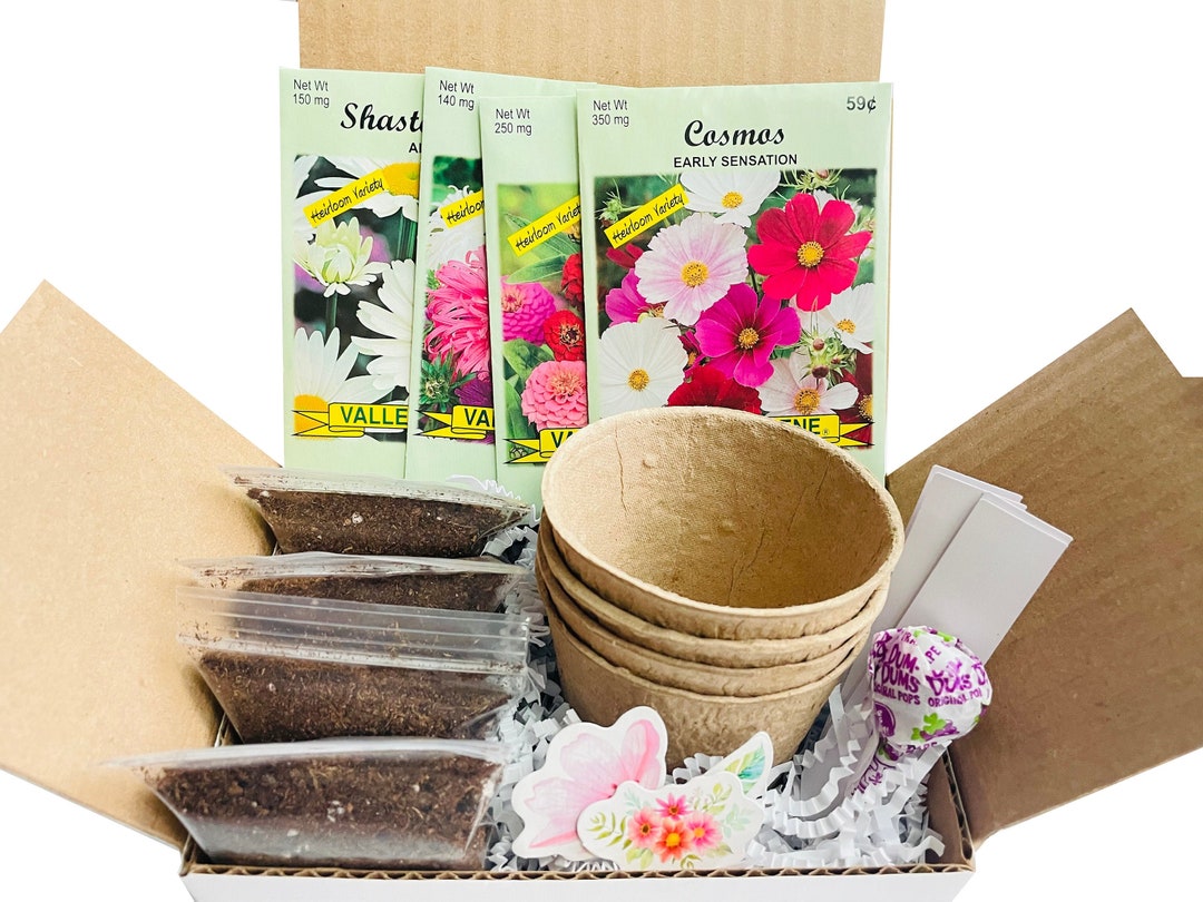 Butterfly Garden Kit Butterfly Garden Seed Kit Gift for Gardeners