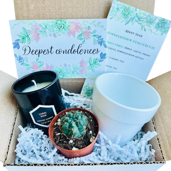 Sympathy Gift Box | Sympathy Gift | Sorry For Your Loss | Sympathy Box | Sympathy Gift Set | Loss of Loved One | Beautiful Soul | Succulent