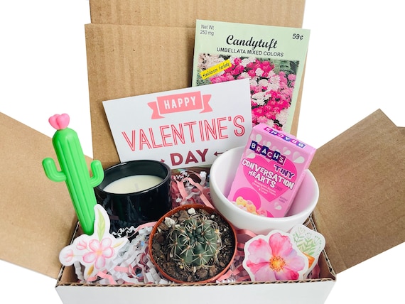 Valentines Gift Box With Live Succulent/personalized Valentines  Gifts/coworker Gift/encouragement Gift/gift for Mom/valentines Gifts for Her  