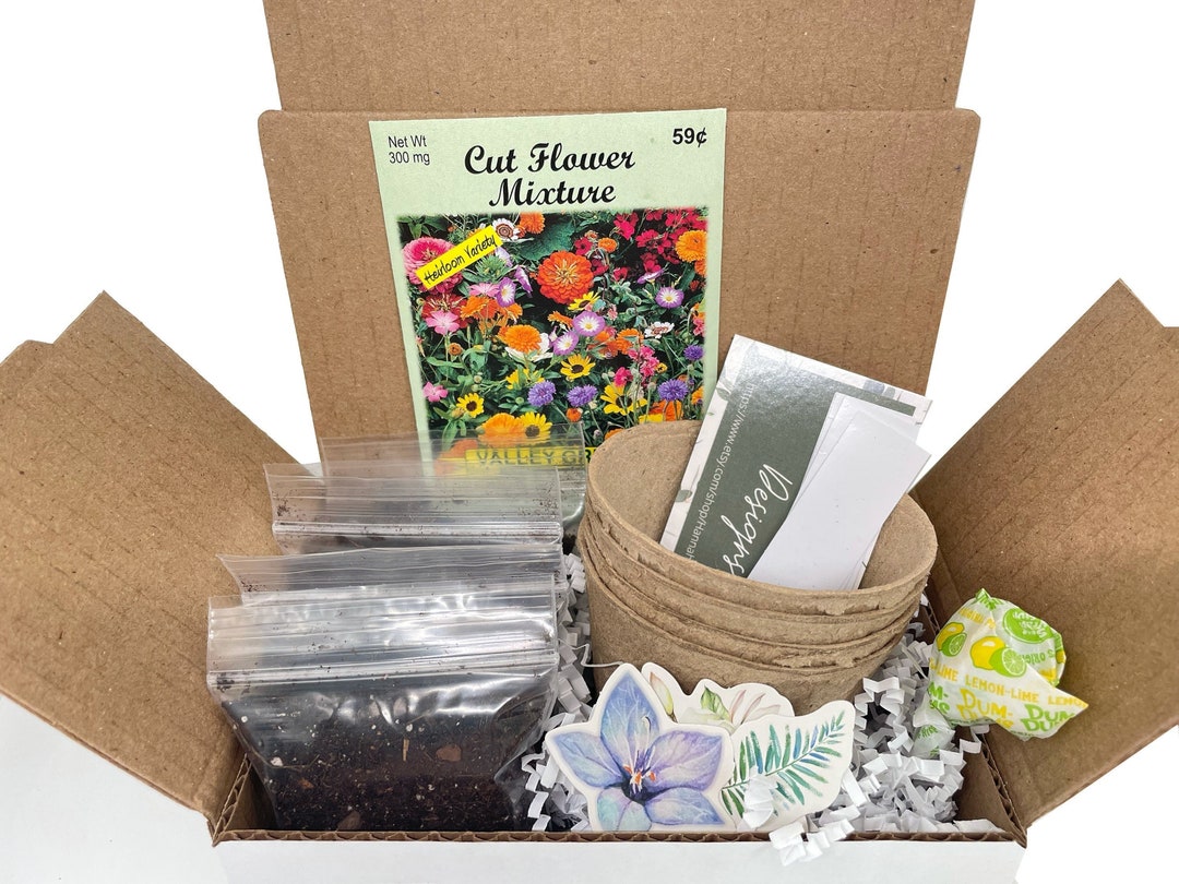 Mixed Flower Grow Kit Grow Your Own Mixed Flower Mixed Flower Gift Cut