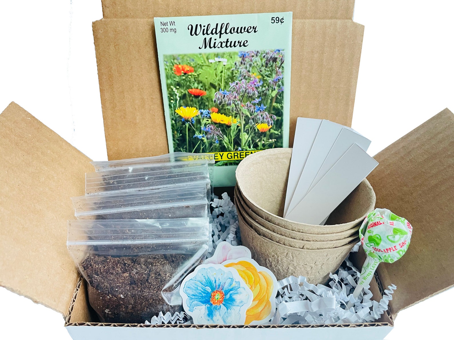 Wildflower Grow Kit Grow Your Own Wildflowers Wildflower Etsy UK