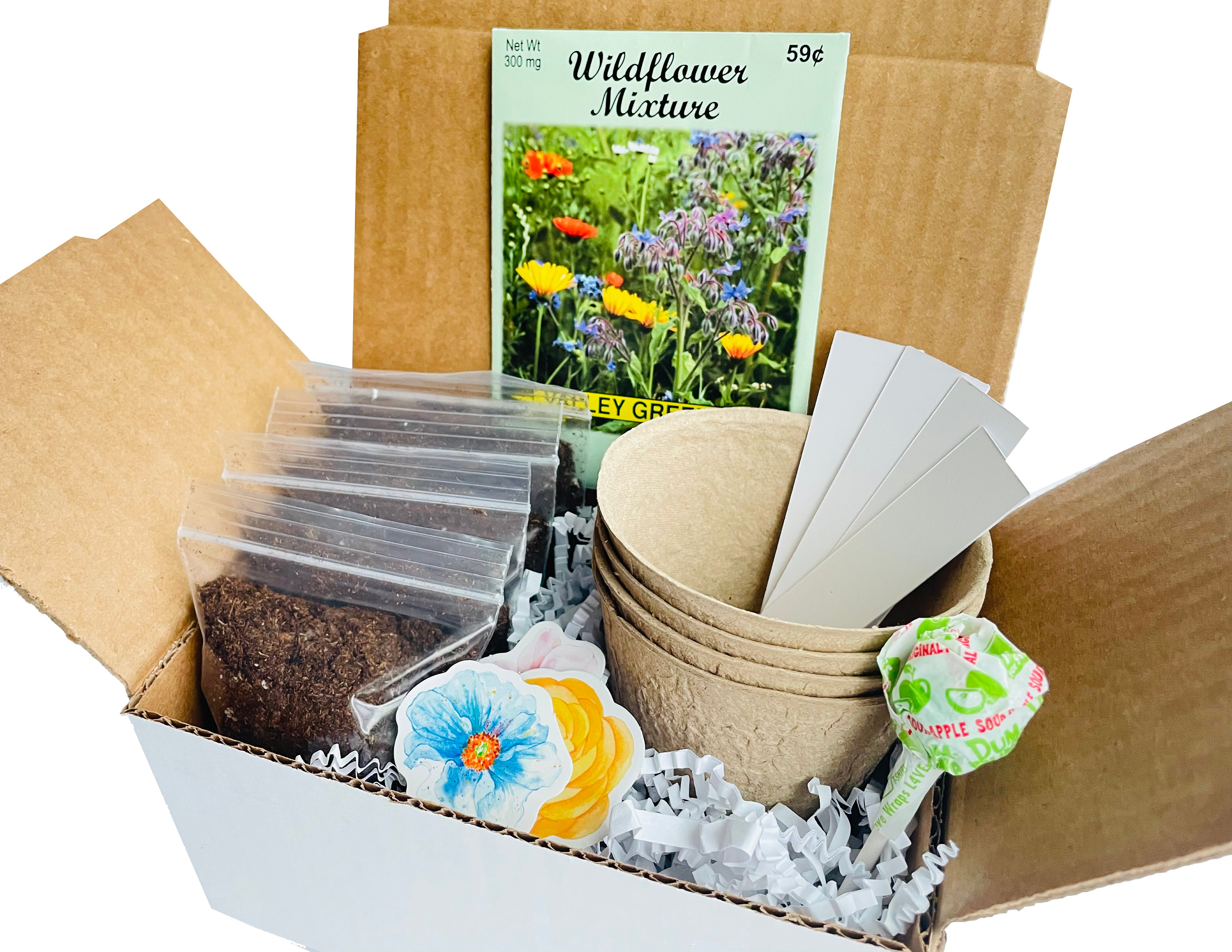 Wildflower Grow Kit Grow Your Own Wildflowers Wildflower Gift Box