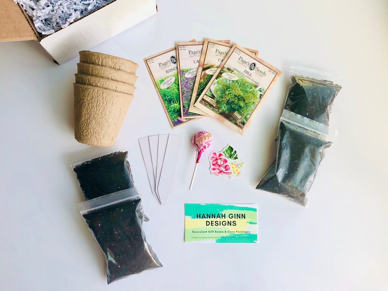 Herb Starter Kit Herb Grow Kit Grow Your Own Herbs Etsy