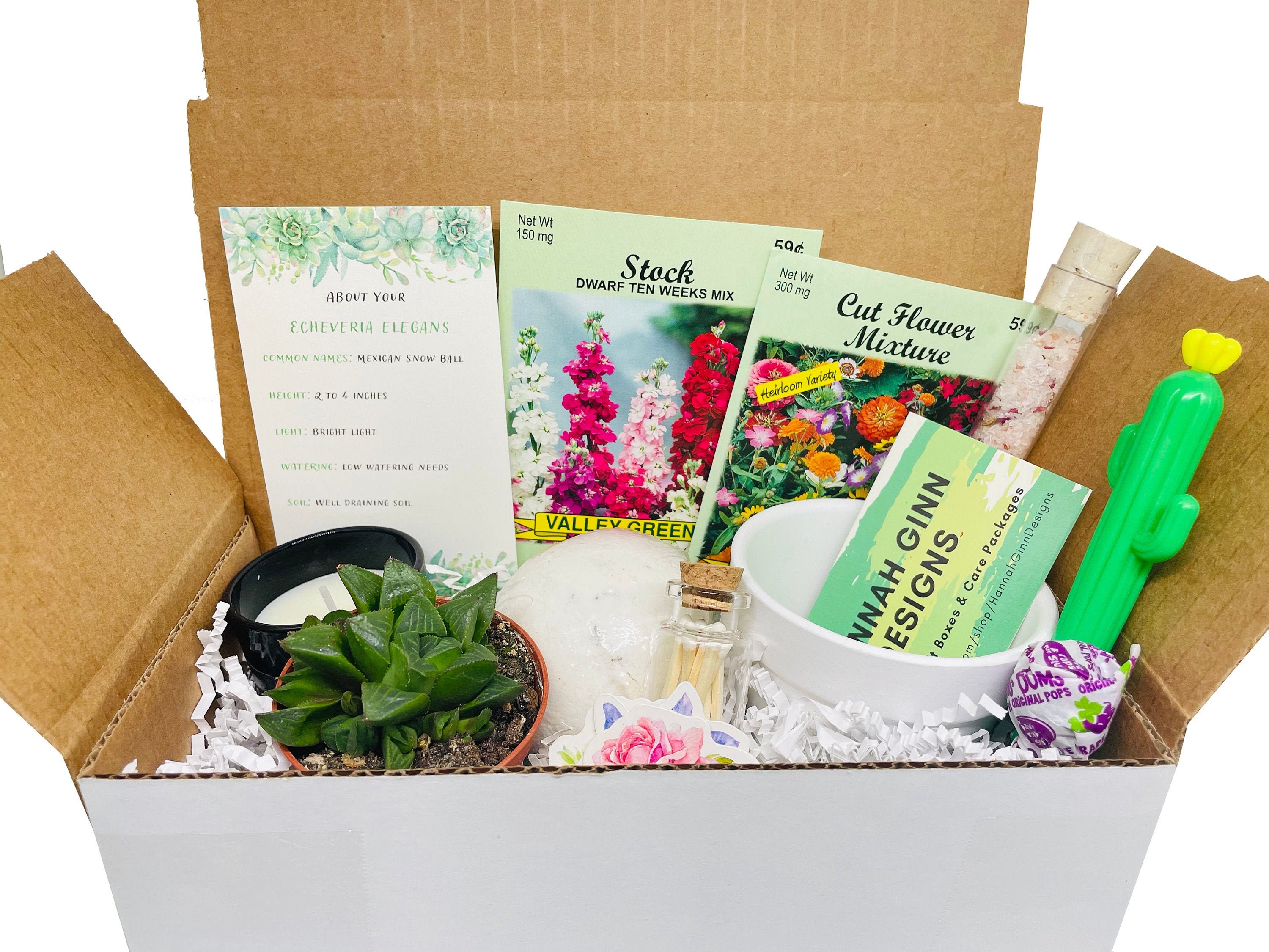Succulent Gift Box | Plant Gift Box | Deluxe Gift Box | Care Package ...