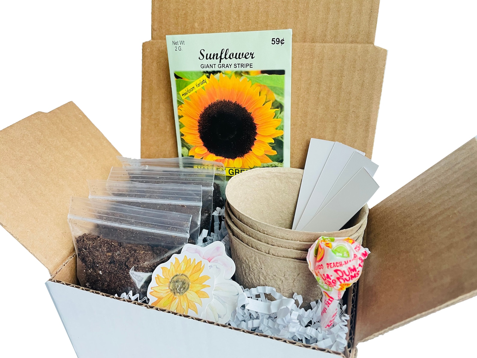 Sunflower Grow Kit Grow Your Own Sunflowers Sunflower Gift Etsy