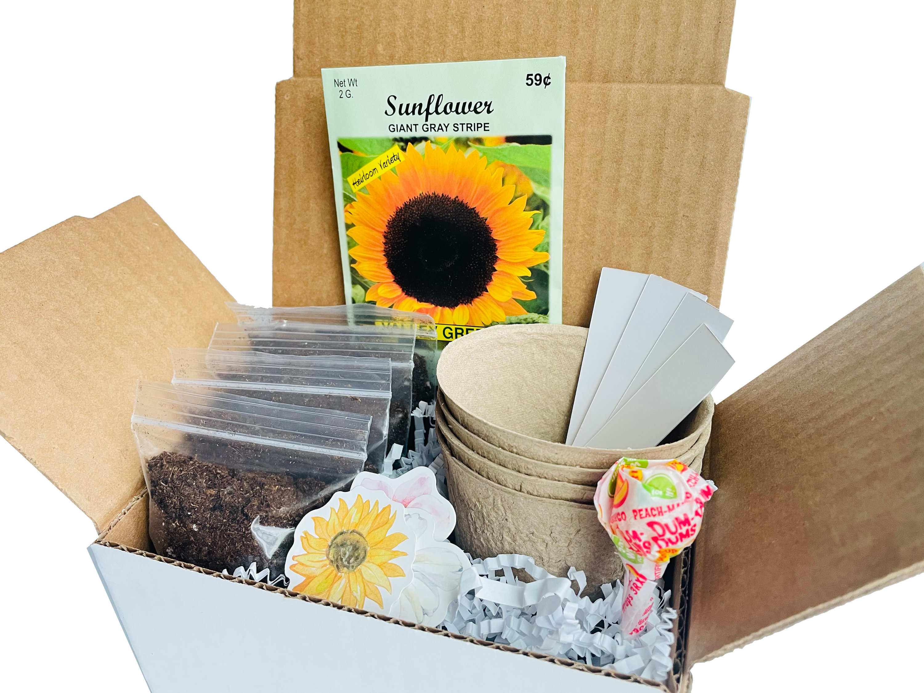 Sunflower Grow Kit Grow Your Own Sunflowers Sunflower Gift Etsy
