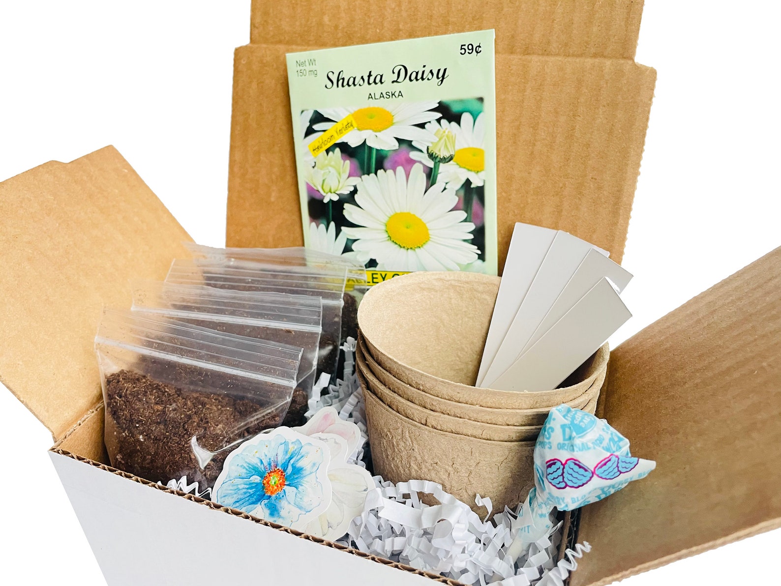 Daisy Grow Kit Grow Your Own Daisies DIY Daisy Seed Kit Etsy