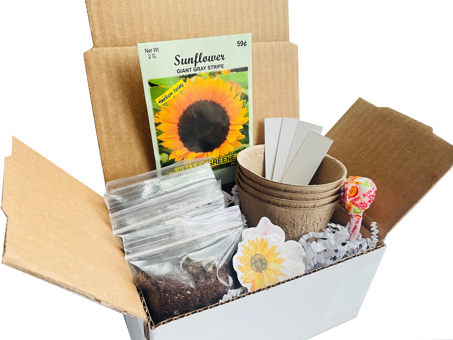 Sunflower Grow Kit Grow Your Own Sunflowers Sunflower Gift Etsy