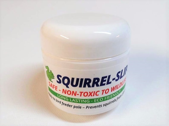 Stop Squirrels From Climbing To Bird Seed Squirrel Proof Your Etsy