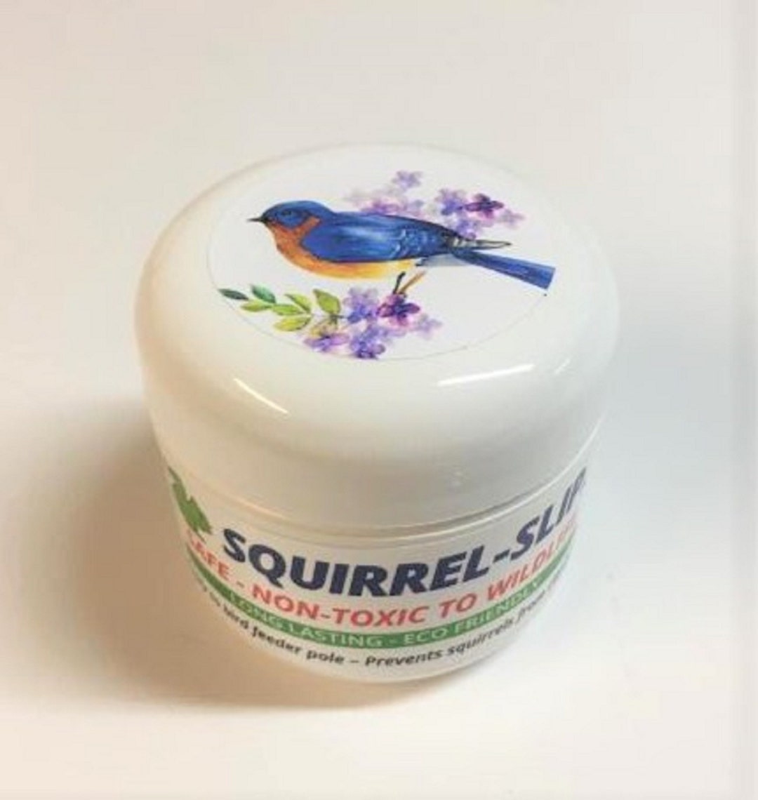 Squirrelslip Stop Squirrels From Climbing Bird Feeder Pole Squirrel Proof Bluebird Trinket Box
