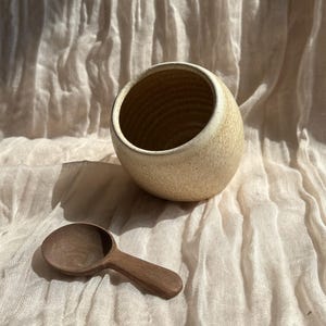 Cochon crème, salière beige, récipient pour le sel gemme, décoration de cuisine faite main