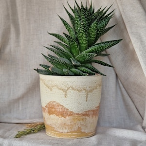 May include: A green succulent plant in a white and orange ceramic pot with a textured glaze.