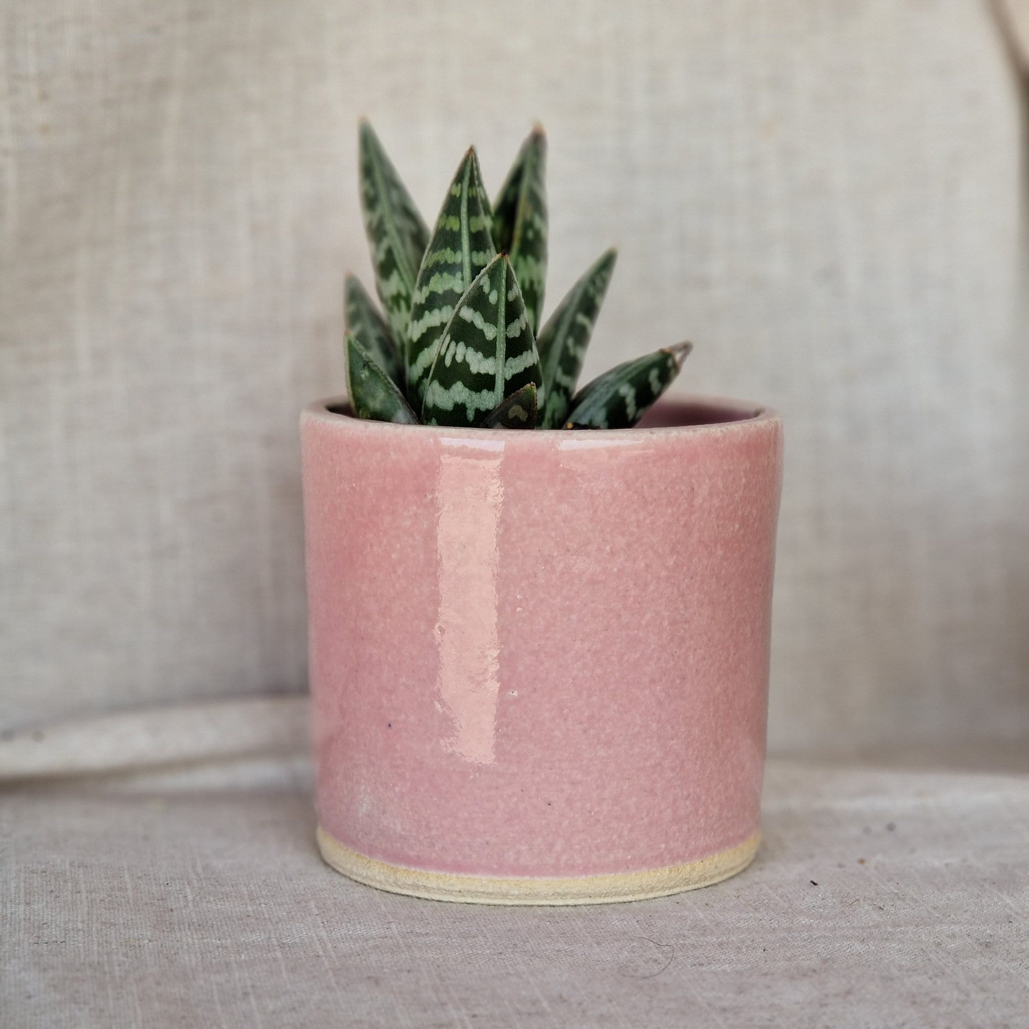 Pink Ceramic Planter, Handmade Glazed Beaker, Candy Floss Plant Pot, 200ml  Rose Vessel, Unique British Gift, Handcrafted Plant Pots - Etsy