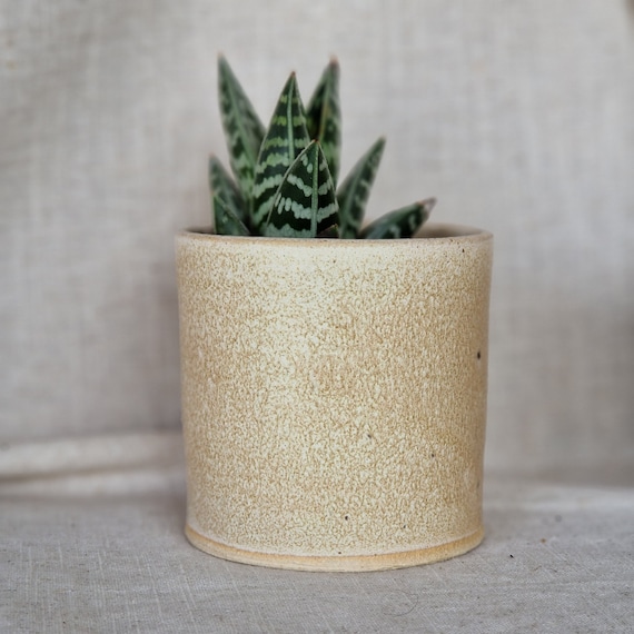 Cream Ceramic Planter, Handmade Glazed Beaker, Speckled Plant Pot, 200ml  Beige Vessel, Unique British Gift, Handcrafted Plant Pots - Etsy