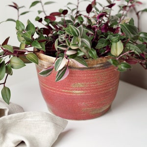 May include: A potted plant with green and purple leaves in a red and brown ceramic pot. The pot has a textured surface and is sitting on a white surface.