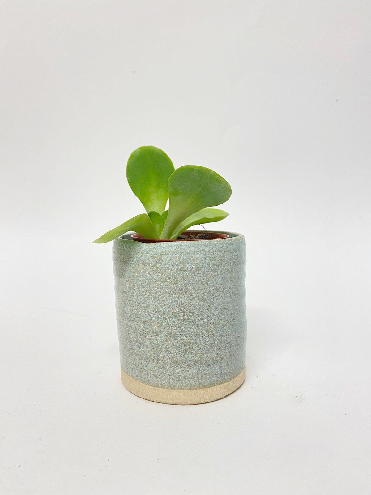 LIMITED EDITION. Light blue ceramic planter Handmade glazed Etsy
