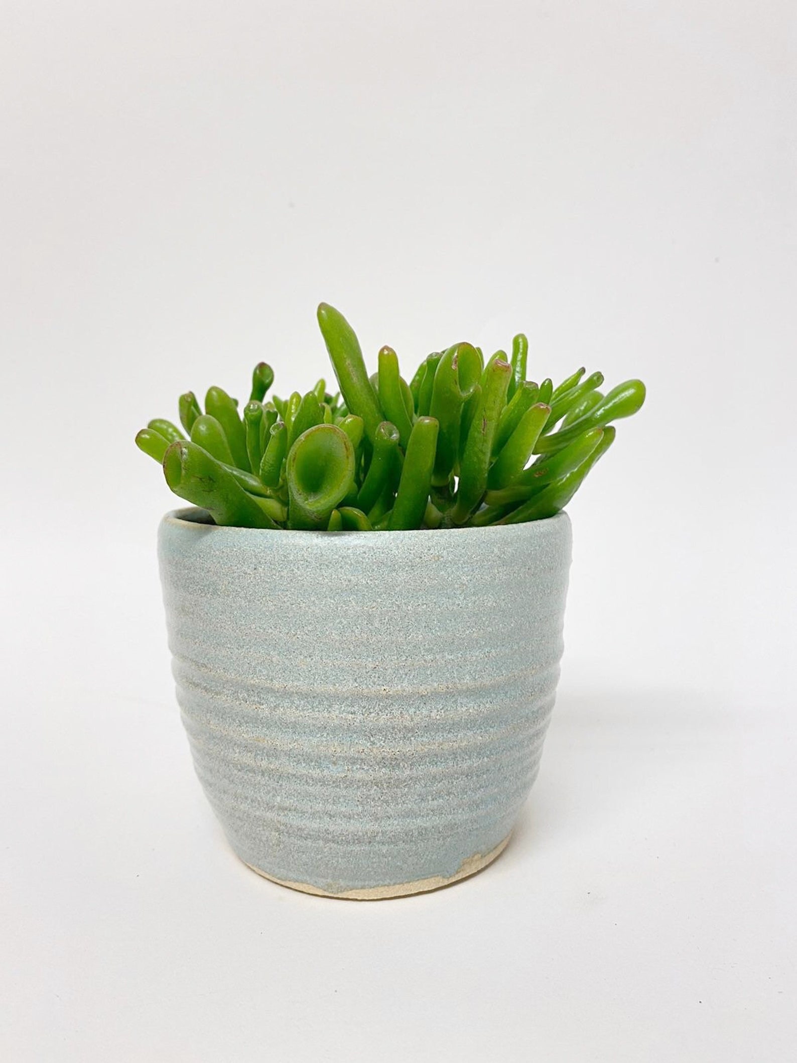 LIMITED EDITION. Light blue ceramic planter Handmade glazed Etsy