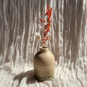 May include: A small, beige ceramic vase with a rounded body and a narrow neck. The vase contains dried orange and white floral stems. The background is a textured, off-white fabric, creating a soft, natural aesthetic.