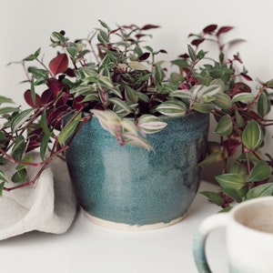 May include: A green ceramic pot containing a leafy houseplant with green and purple leaves. The plant is sitting on a white surface next to a white and blue ceramic mug.