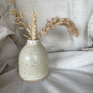 May include: A small, speckled, cream-coloured ceramic vase with a rounded body and a slightly flared lip. The vase is filled with dried grasses and wheat.