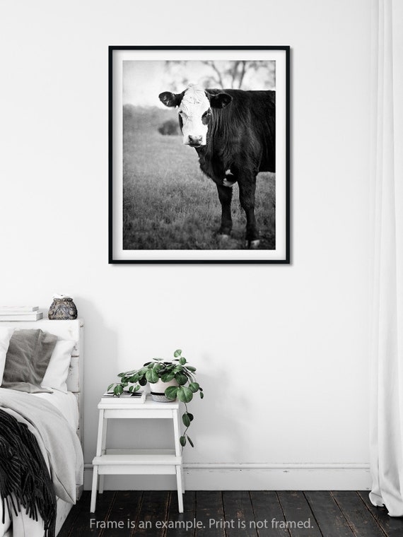 Dining Room Wall Art Black And White Decor Cow Dining Room Art Cow Print For Dining Room Black And White Photo Cow Wall Decor