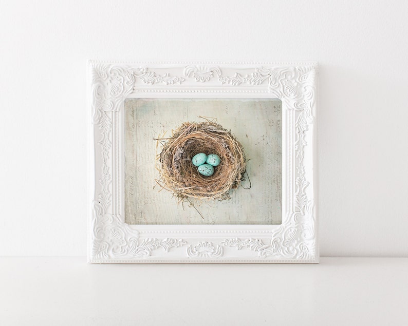 Nest Wall Art Blue Egg Photo Bird's Nest Art Print Nest Etsy