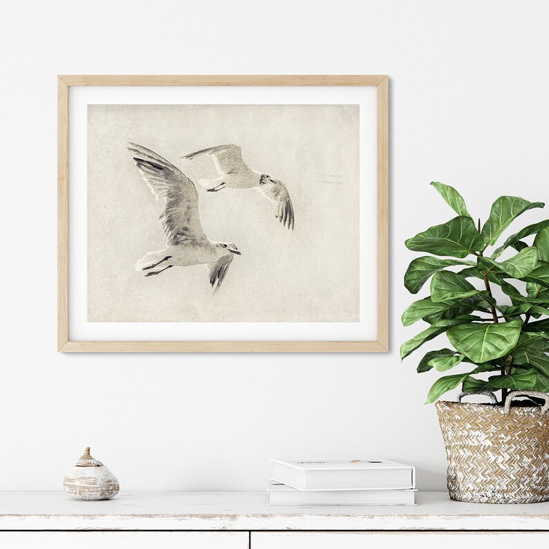 Rustic COASTAL Wall Art Seagull Photo Sepia Beach Art Etsy