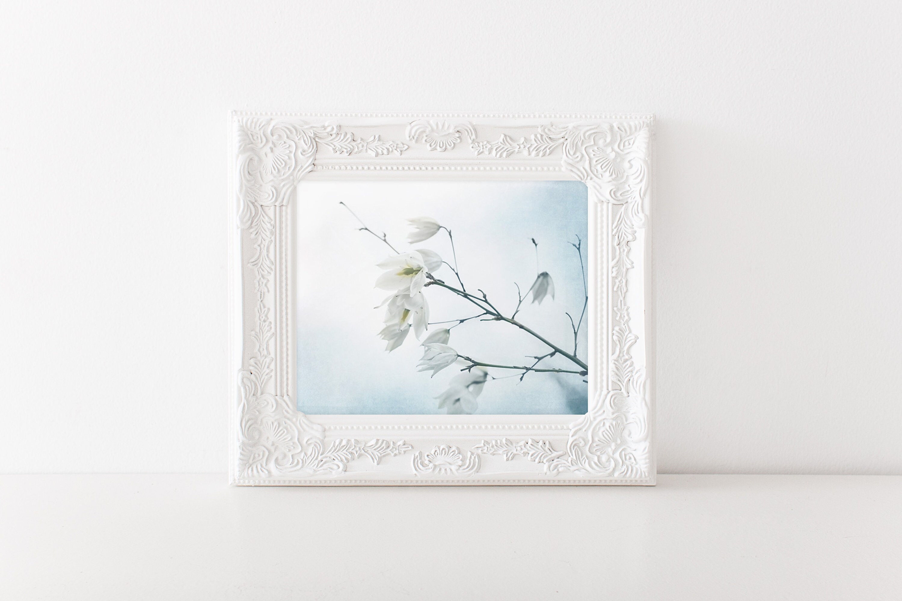 White Flower Print Nature Photo Flower Art Print Cottage - Etsy