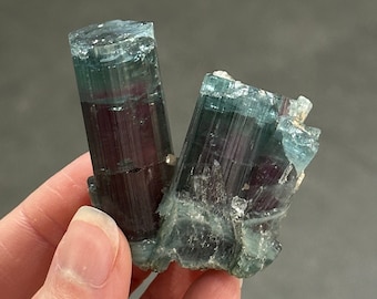 May include: Two green and purple tourmaline crystals with a striated pattern. The crystals are raw and have a natural, rough texture.