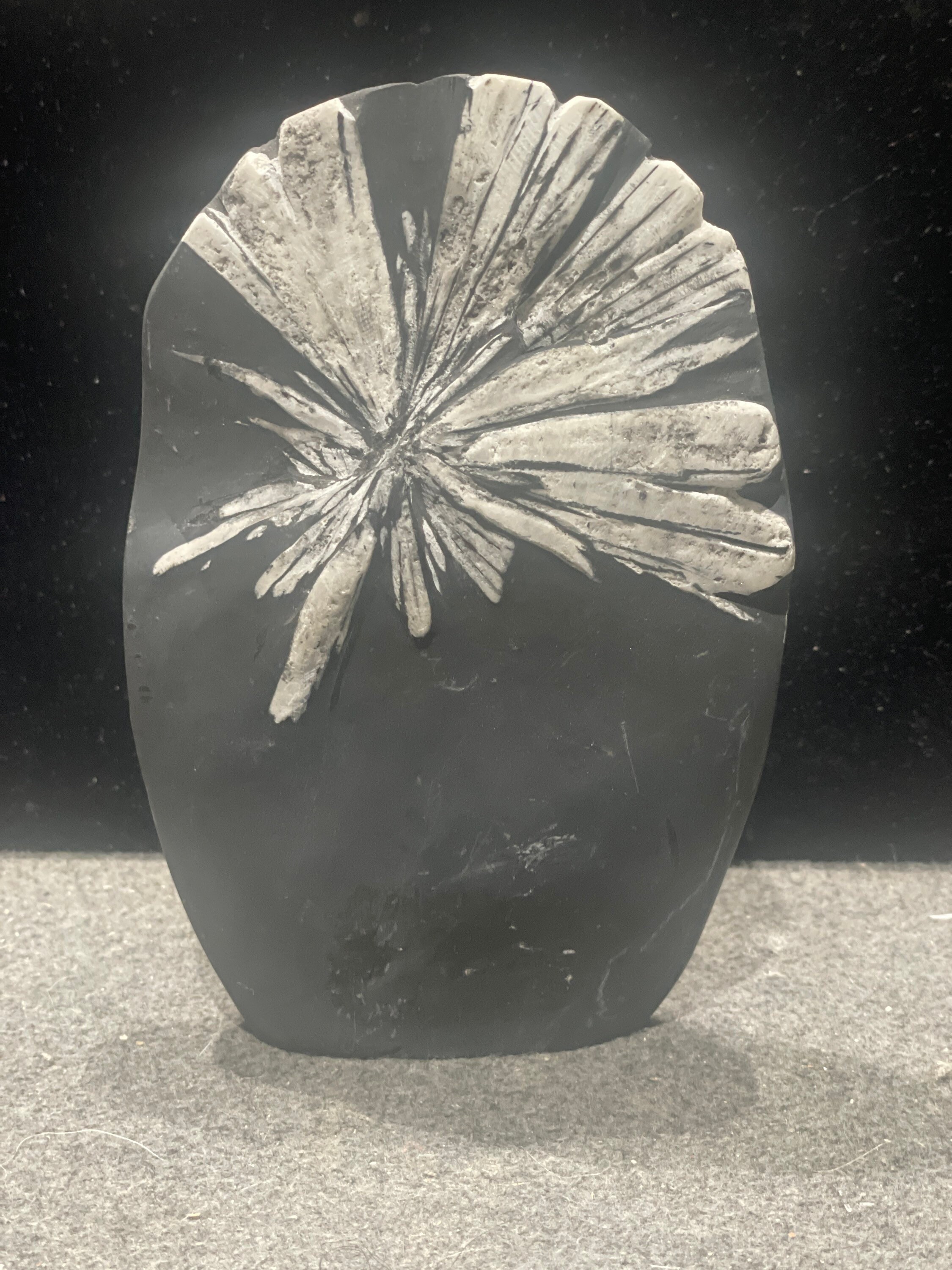 Chrysanthemum Stone - Etsy