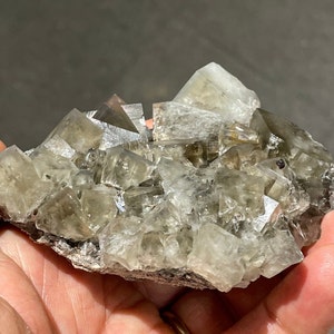 Pode incluir: Um aglomerado de cristais de fluorita transparentes e de cor castanho claro numa matriz cinzenta. Os cristais s&atilde;o afiados e bem formados, com um brilho v&iacute;treo.