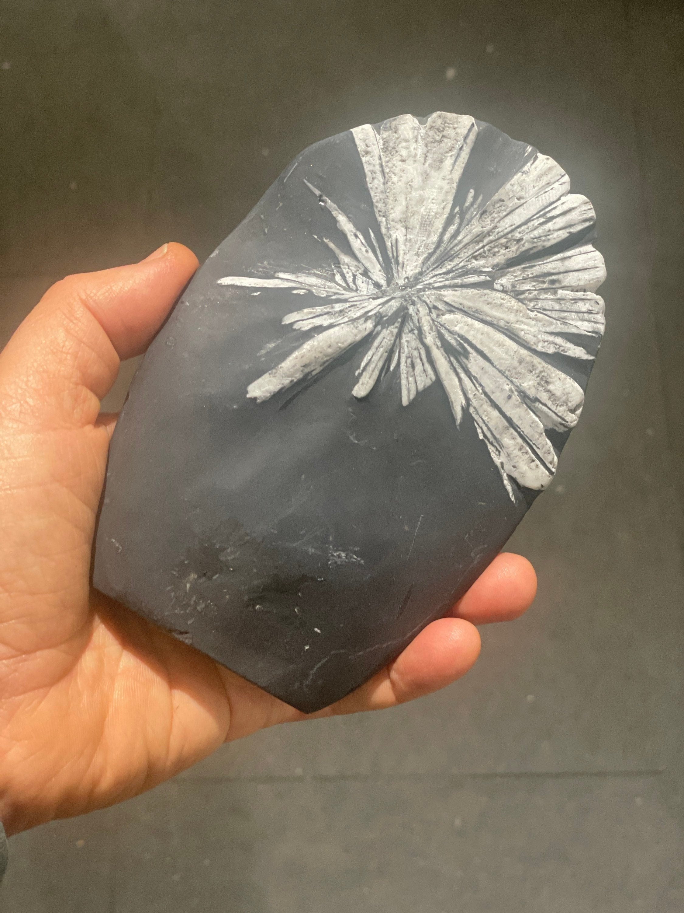 Chrysanthemum Stone - Etsy
