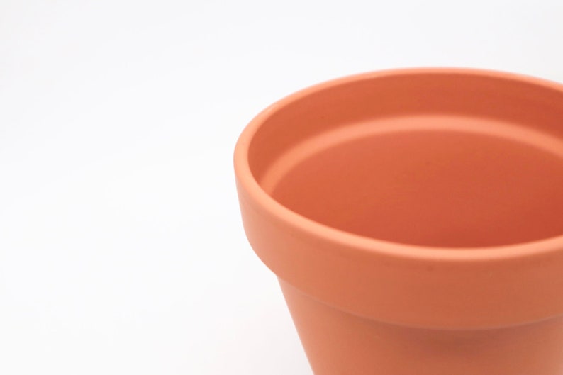 Extra Large Vintage Style Mini Terracotta Plant Pots, 150 pcs sizes in cm image 7