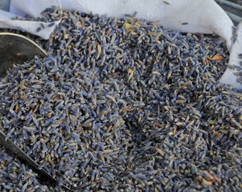 Dried Lavender Flowers - Naturally Fragrant - Various Sizes
