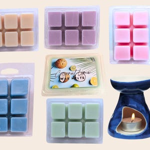 Handmade Scented Wax Melts | Natural Soy Clamshell wax melts| Eco-Friendly | Fragrance Cubes | Aromatherapy | Home Fragrance | Gift Idea