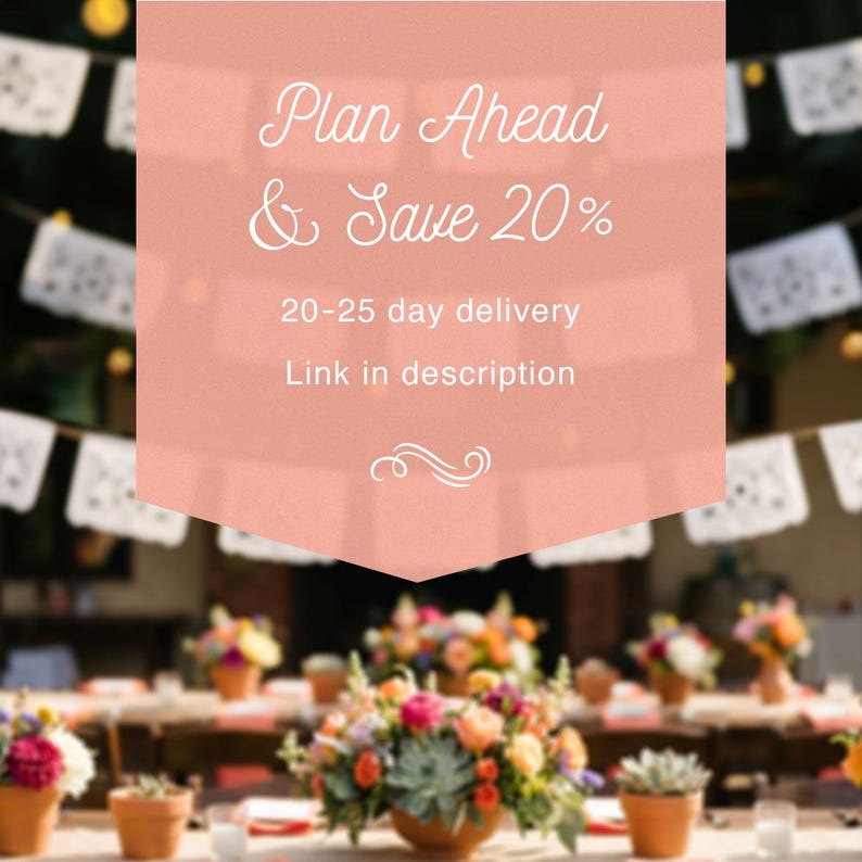 May include: A peach-colored rectangular graphic overlay featuring white text that reads Plan Ahead & Save 20%, 20-25 day delivery, and Link in description, with a small decorative flourish centered below the text, set against a blurred event background.