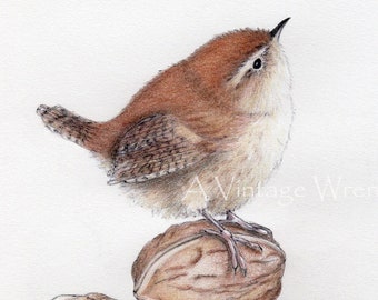 Wren Art Print with Double Mat / Original art / Wren painting / Jenny wren illustration / Carolina Wren print