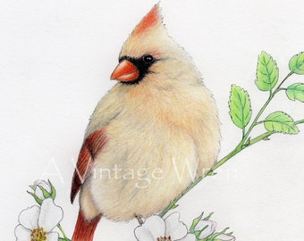 Female Northern Cardinal Art Print with Double Mat / Original art / Bird painting / Remembrance gift / cardinal and dogwood flowers