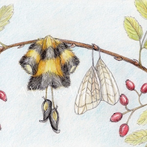 Bee print with Double Mat / Honeybee art / Bumblebee painting / Fairy art / Autism awareness