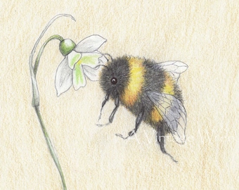 Bee print with Double Mat / honeybee art / bumblebee painting / Snowdrop Flower Art