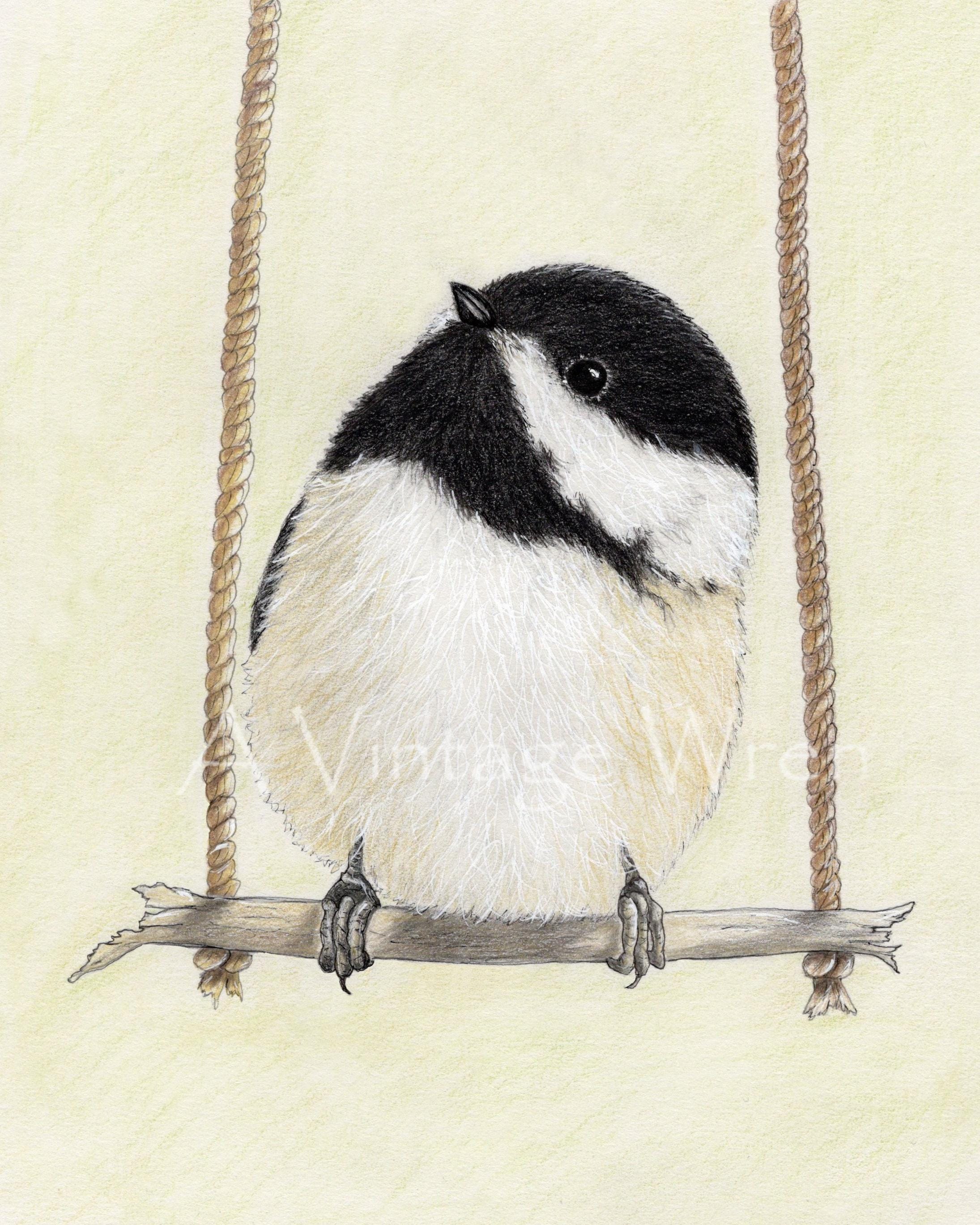 Black Capped Chickadee Art Print: Original Colored Pencil Bird ...