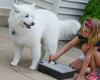 Paw Boss Paw Washer for Dogs